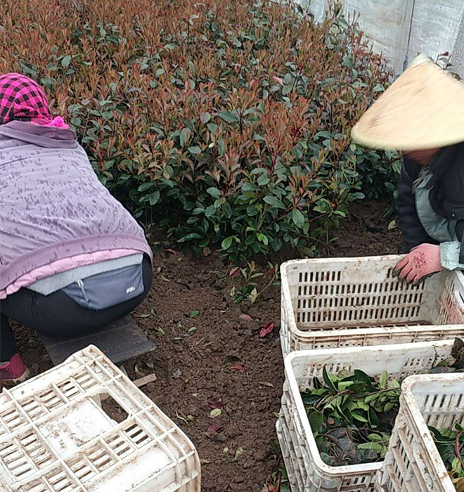 發(fā)貨現(xiàn)場(chǎng)